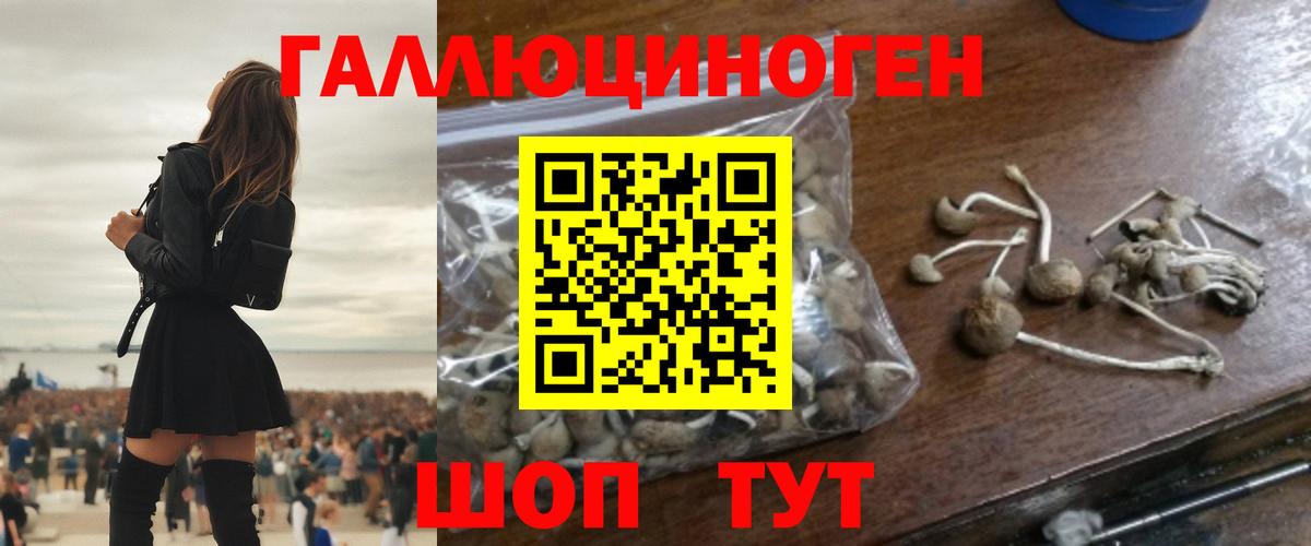 цены наркотик  Галлюциногенные грибы Cubensis  Вход с VPN  Назрань 